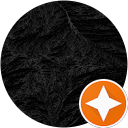 D Miller profile picture